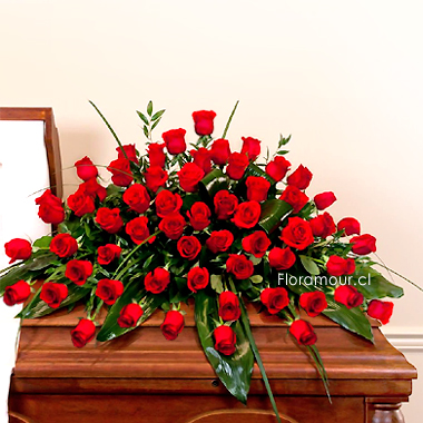 Bello Cubre urna de 70 rosas importadas. Sólo Santiago - seleccione color de rosas: